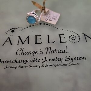 Stainless Steel Ring with interchangeable colour pops. Pops sold separately